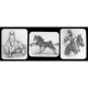 Equine Mouse Pads